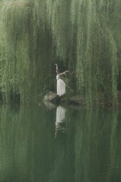 a white bird sitting on top of a rock in the middle of a lake surrounded by trees