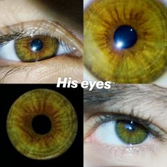 #Hazel #hazeleyes #eyes #eyecolor #chamelion #him Red Brown Eyes, Eye Claim, Hazel Eyes Aesthetic, Eyes Hazel, Iris Eye, Amber Eyes, Makeup For Hazel Eyes, Hand Pictures