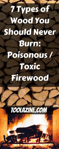 7 Types of Wood You Should Never Burn: Poisonous / Toxic Firewood | Toolazine Survival Skills Life Hacks, Bushcraft Camping, Survival Techniques, Prepper Survival