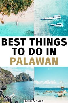 the best things to do in palawan