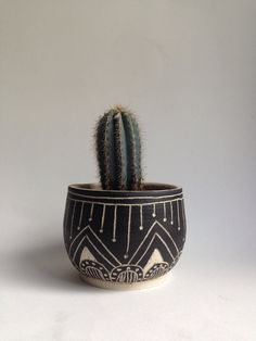 a small cactus in a black and white pot