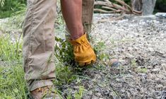 a person wearing yellow work gloves standing in the grass