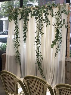 some chairs are set up in front of a window with white drapes and greenery