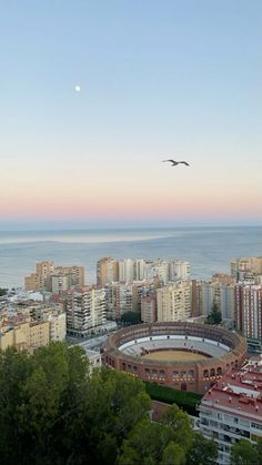 a bird flying over a city next to the ocean