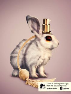 a white rabbit with a golden faucet on its head