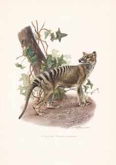 a drawing of a tiger standing next to a tree branch with green leaves on it