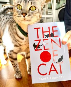 a cat standing on top of a wooden floor holding up a book