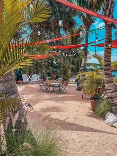 an outdoor dining area with palm trees and chairs