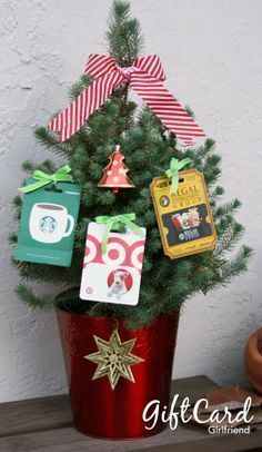 a small christmas tree is sitting in a pot with tags attached to it's top