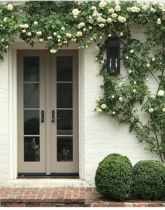 a dog is sitting in the doorway of a white house with roses on it's side