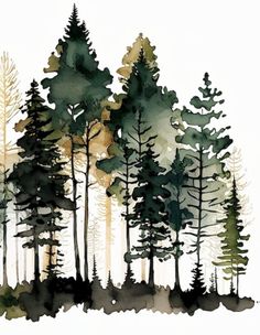 watercolor painting of trees in the woods