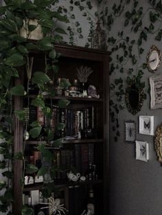 a living room filled with lots of green plants and pictures on the wall next to a bookshelf