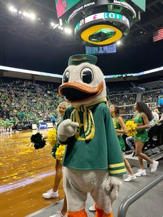 a mascot dressed in green and yellow stands on the sidelines at a basketball game