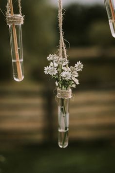 some flowers are in vases hanging from strings