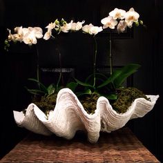 some white flowers and moss on a table