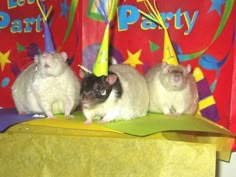 three ratty mice sitting on top of a table with party hats and streamers