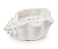 a white ceramic toothbrush holder on a white background