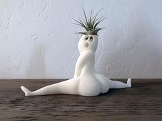 a white ceramic planter with an air plant in it's head