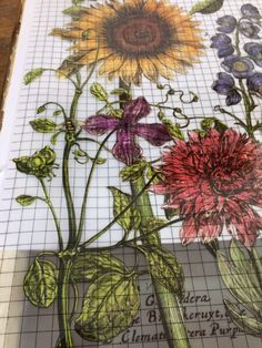 an image of some flowers on a piece of paper with graph paper in the background