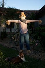 Life-Sized Scarecrow With Stand : 6 Steps - Instructables Fall Birthday Parties, Fall Birthday, Diy Life, Diy Halloween Decorations