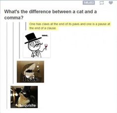 the cat is wearing a top hat and has four different pictures in front of it