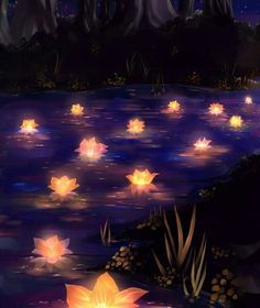 water lilies floating in the pond at night