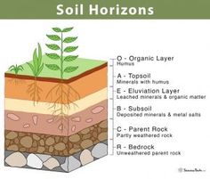 soil layers labeled in the diagram below