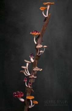 a group of mushrooms sitting on top of a wooden stick in front of a black background