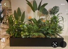 a planter filled with lots of green plants