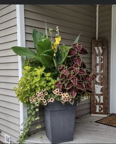 a potted plant sitting on the front porch next to a welcome sign with flowers in it