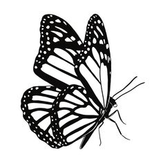 a black and white drawing of a butterfly