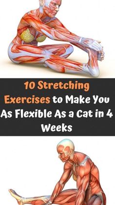 an image of a man doing exercises with the words 10 stretching exercises to make you as flexible as a cat in 4 weeks