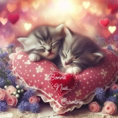 two kittens cuddle together on a heart shaped pillow with flowers and hearts in the background