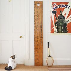 a cat sitting in front of a tall wooden ruler with a poster on the wall behind it