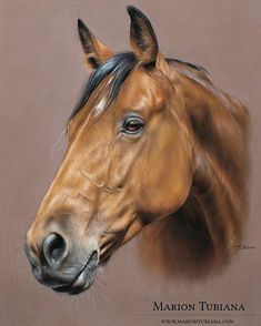 a painting of a brown horse's head