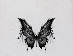 a black and white drawing of a butterfly