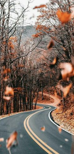 an empty road surrounded by trees in the fall with leaves blowing in the wind on either side