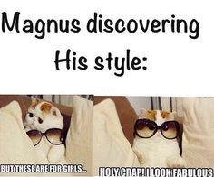 a cat wearing sunglasses and sitting on top of a bed with the caption, magnius discovering his style