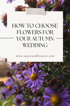 purple flowers with the words how to choose flowers for your autumn wedding written on it