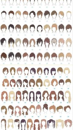 the different types of hair are shown in this image, and each has their own color scheme