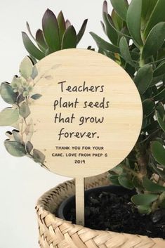 a wooden sign that says teachers plant seeds that grow forever on a potted plant