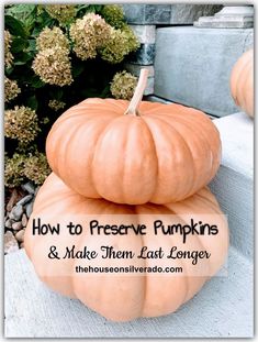 pumpkins stacked on top of each other with the words how to preserve pumpkins and make them last longer