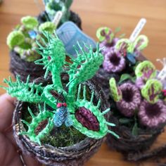 small crocheted pots with plants in them sitting on a wooden table next to a person's hand