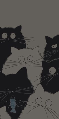 four black cats with different colored eyes and whiskers on their faces, all looking at the same person