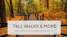 fall walks and more trails virtual walk - scavened hunts'recipe, etc