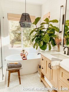 a bathroom with a plant in the corner and a large mirror over the bathtub