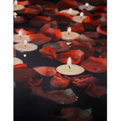 several lit candles floating in water with rose petals on the bottom and one candle glowing