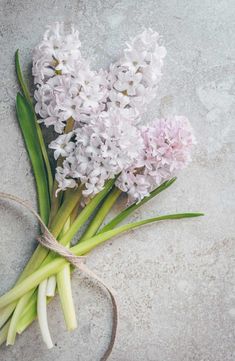 a bunch of flowers tied to a string