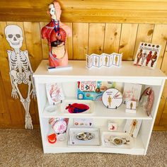 a white shelf with various items on it and skeleton figurines in the background