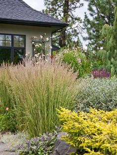 a house with lots of plants in front of it and bushes around the outside area